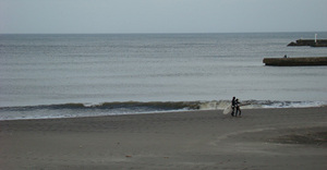taito-1101-2.jpg